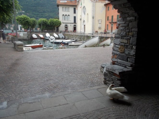 DSCN2314 (FILEminimizer)