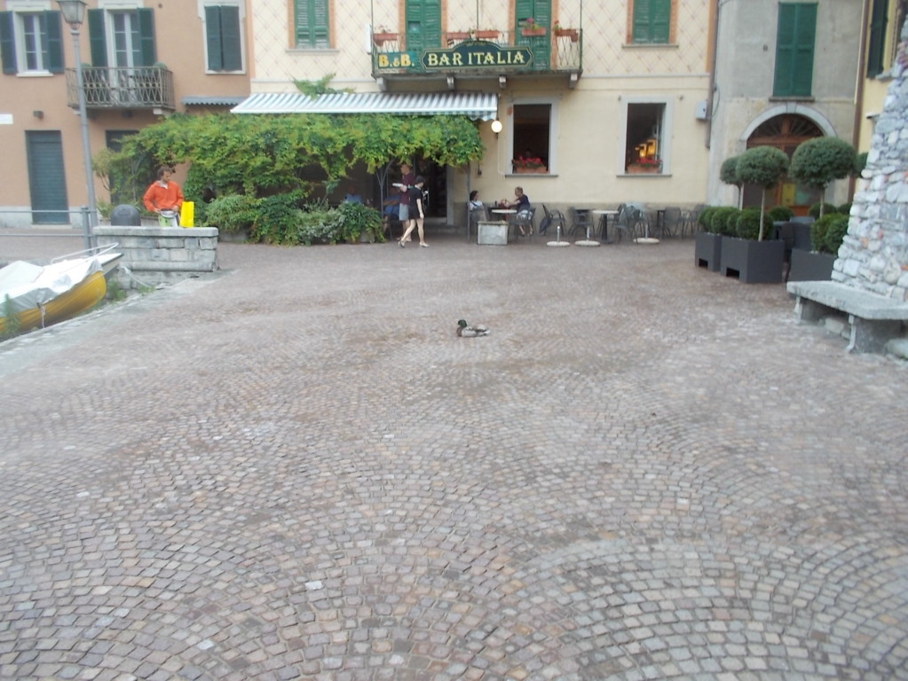 DSCN2315 (FILEminimizer)