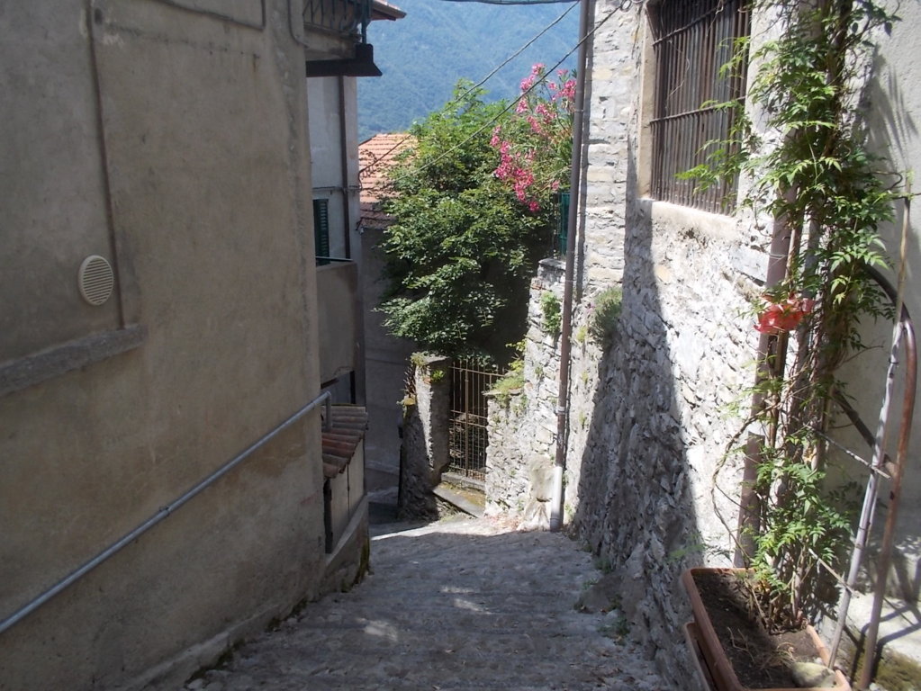 DSCN2332 (FILEminimizer)