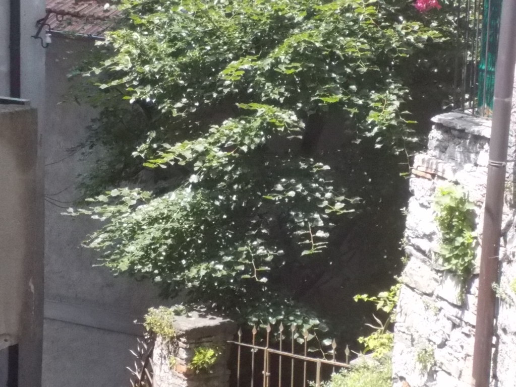 DSCN2335 (FILEminimizer)