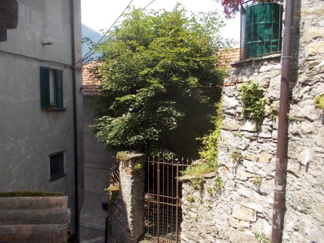 DSCN2337 (FILEminimizer)