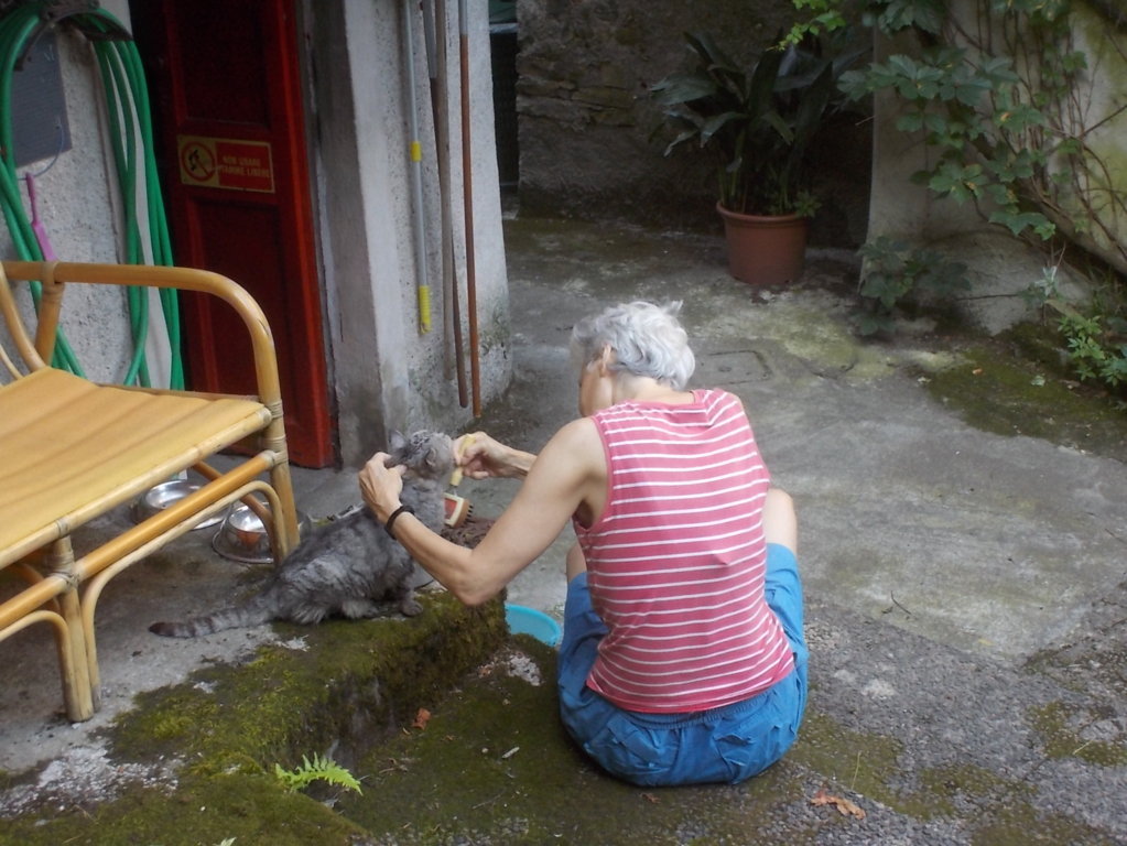 DSCN2346 (FILEminimizer)