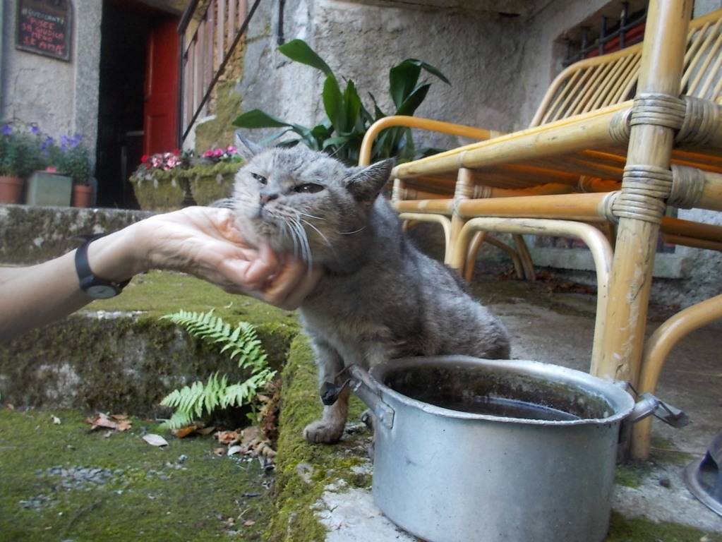 DSCN2347 (FILEminimizer)