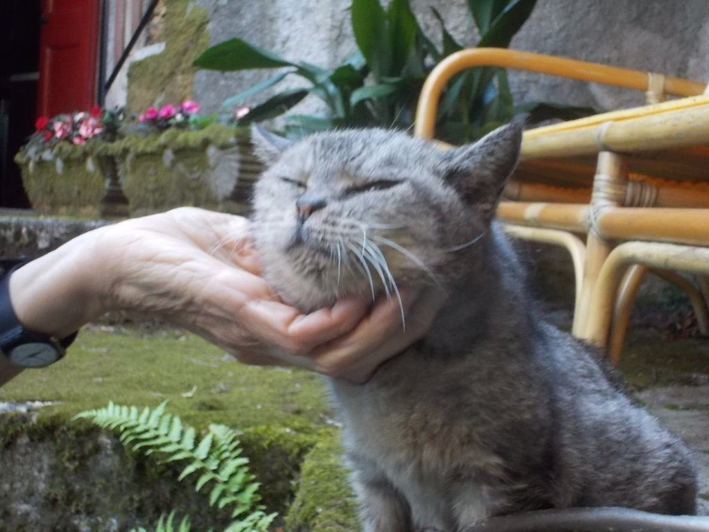 DSCN2348 (FILEminimizer)