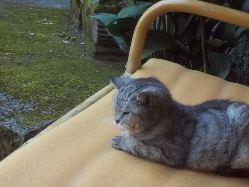 DSCN2350 (FILEminimizer)