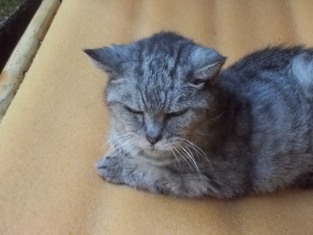 DSCN2351 (FILEminimizer)