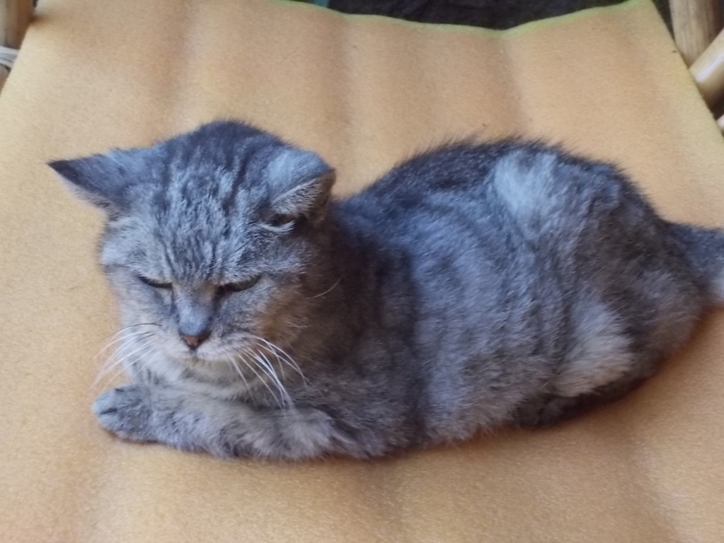 DSCN2352 (FILEminimizer)