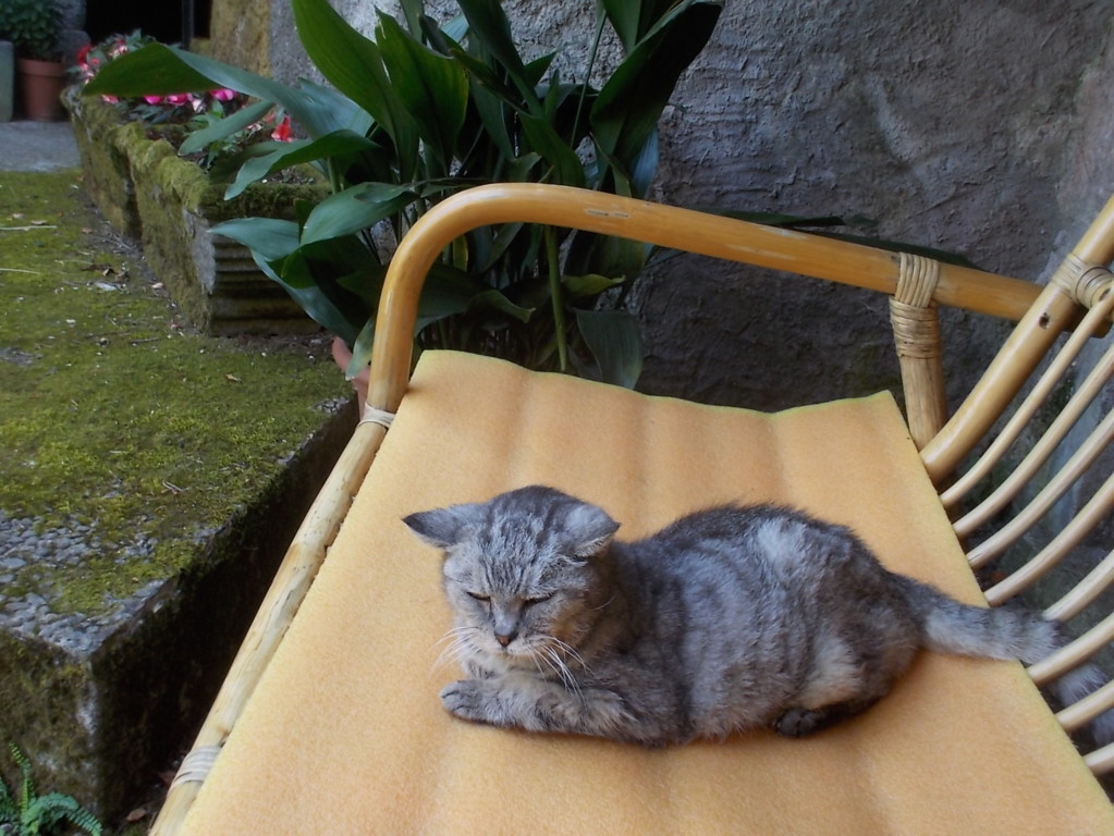 DSCN2353 (FILEminimizer)