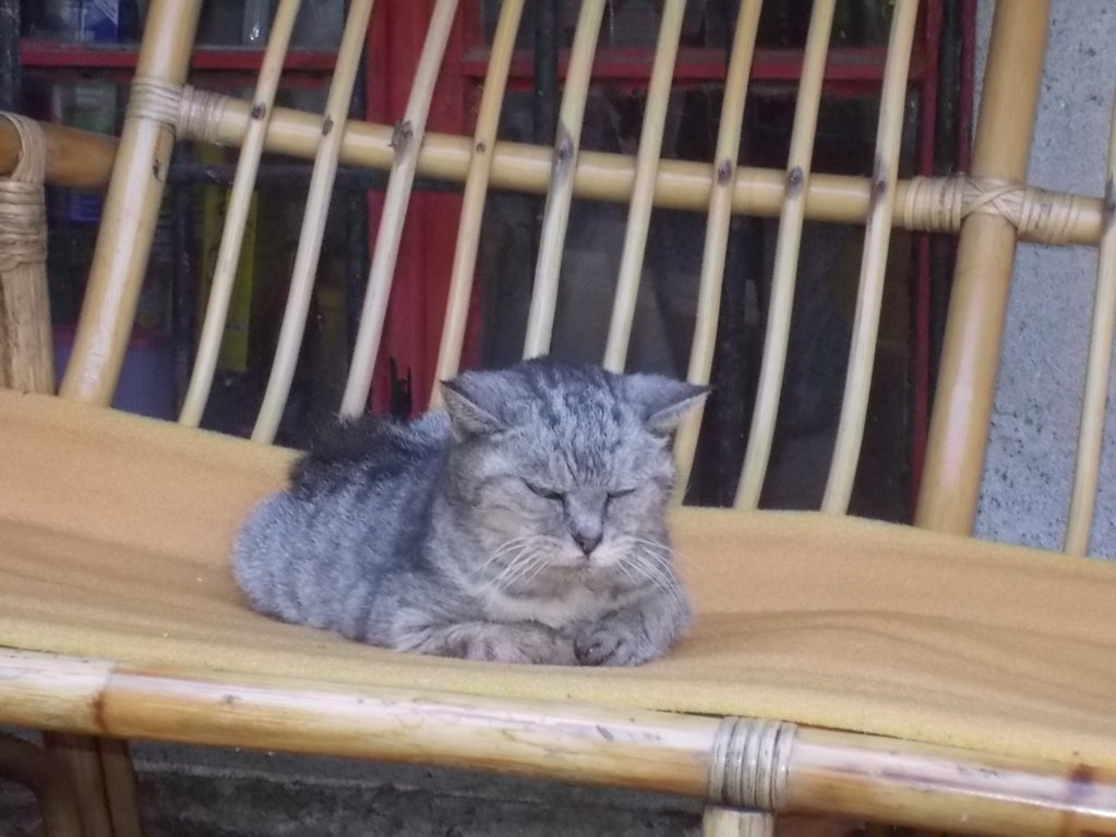 DSCN2356 (FILEminimizer)