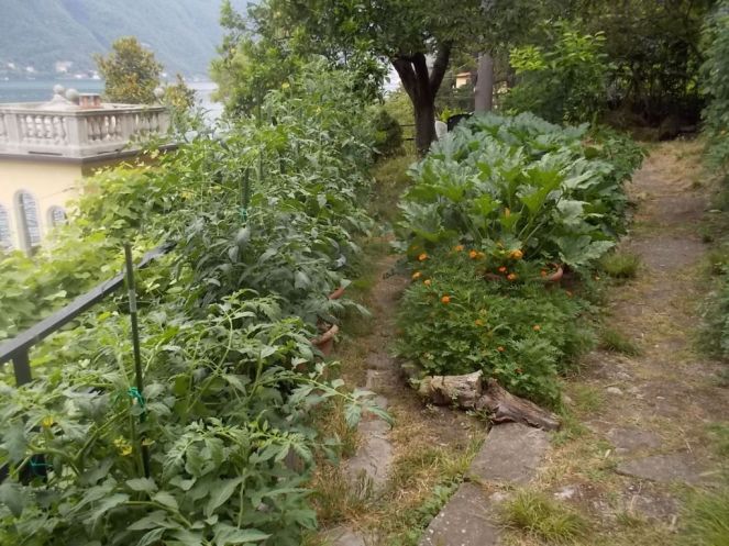 DSCN2366 (FILEminimizer)