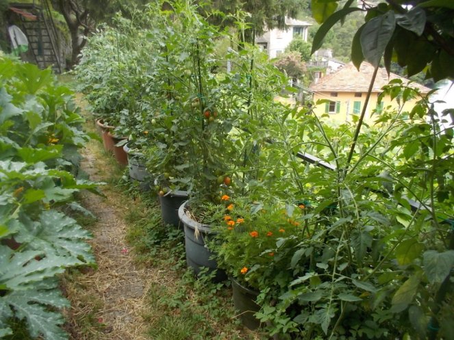 DSCN2373 (FILEminimizer)