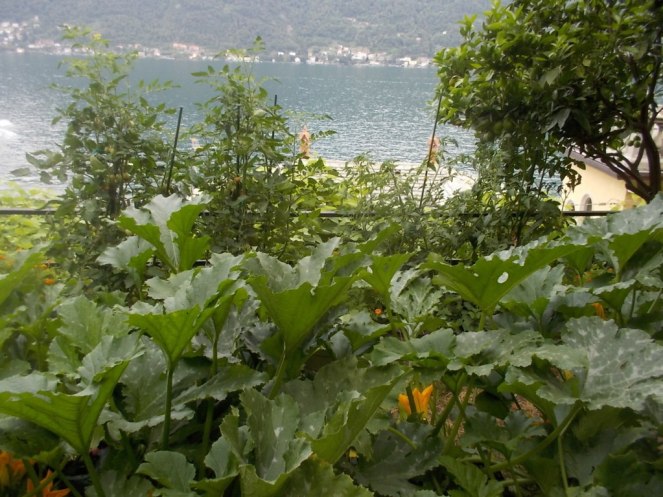 DSCN2385 (FILEminimizer)