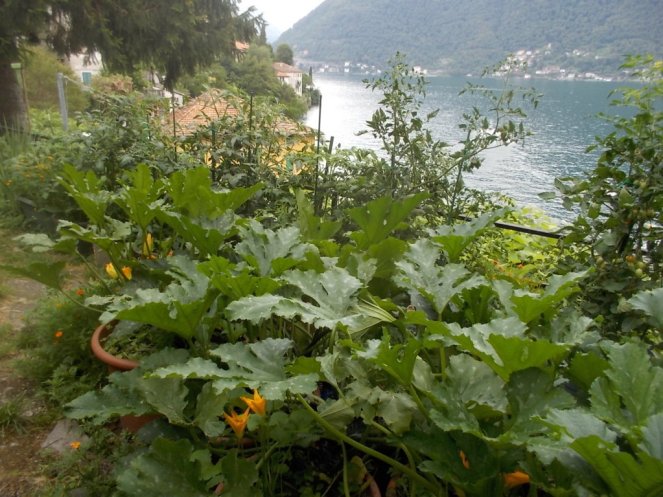 DSCN2386 (FILEminimizer)