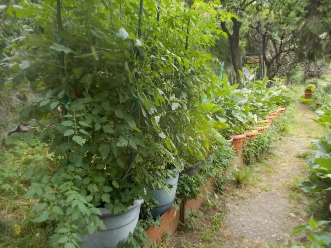 DSCN2387 (FILEminimizer)