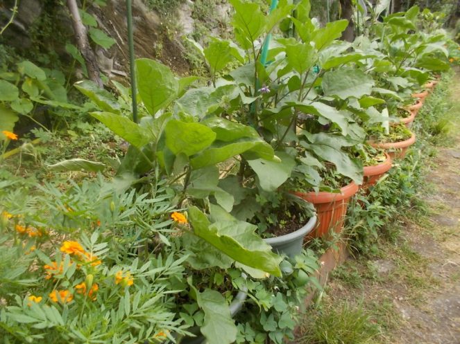 DSCN2388 (FILEminimizer)