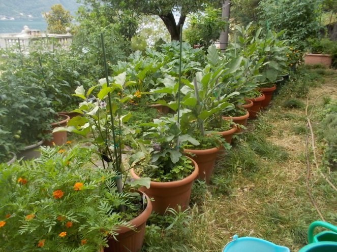 DSCN2395 (FILEminimizer)