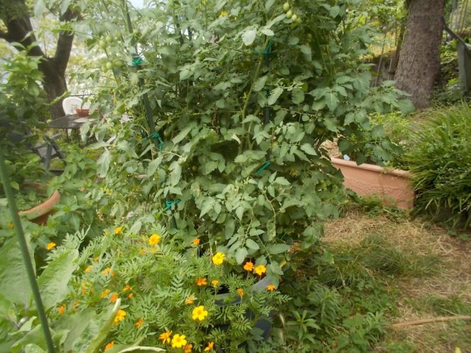 DSCN2396 (FILEminimizer)