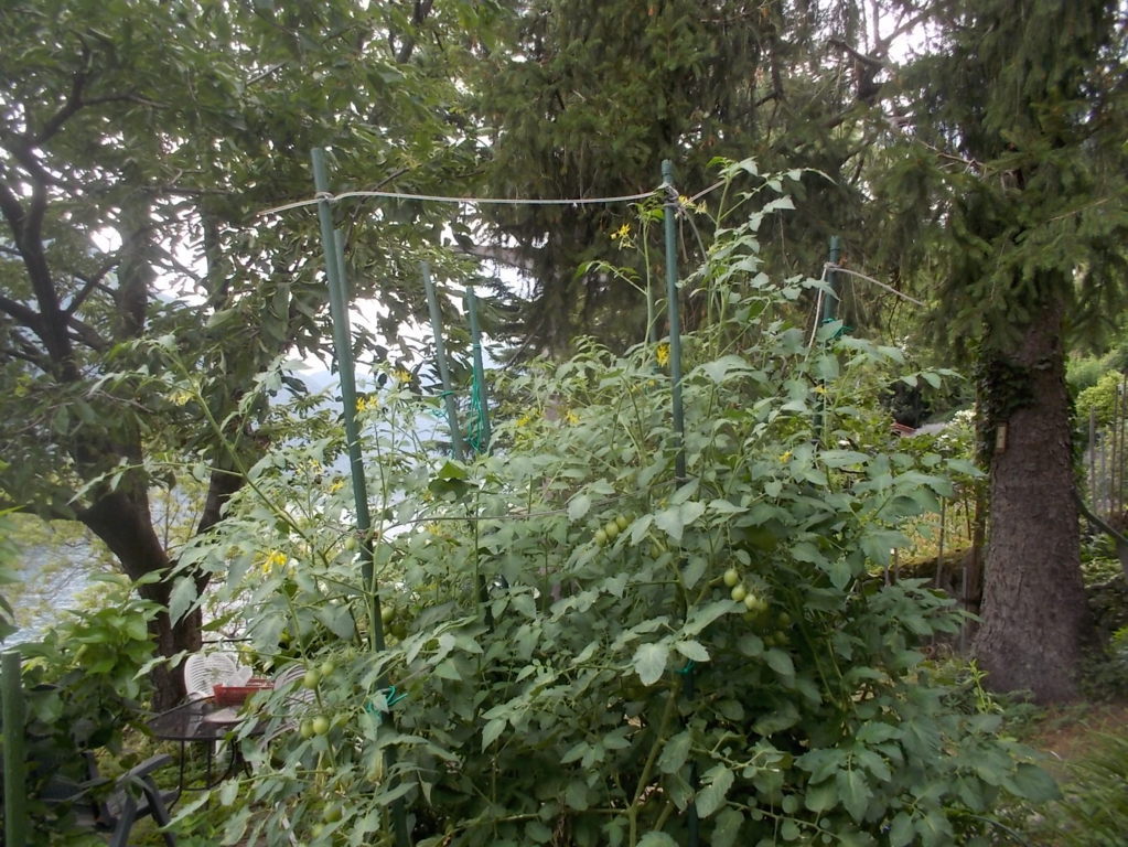 DSCN2397 (FILEminimizer)