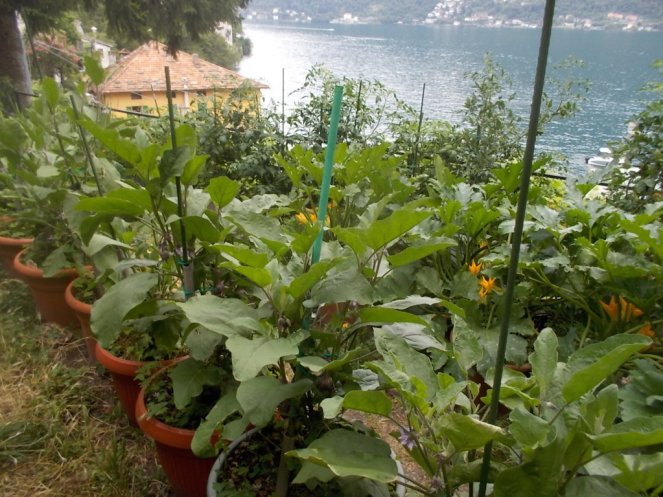 DSCN2400 (FILEminimizer)