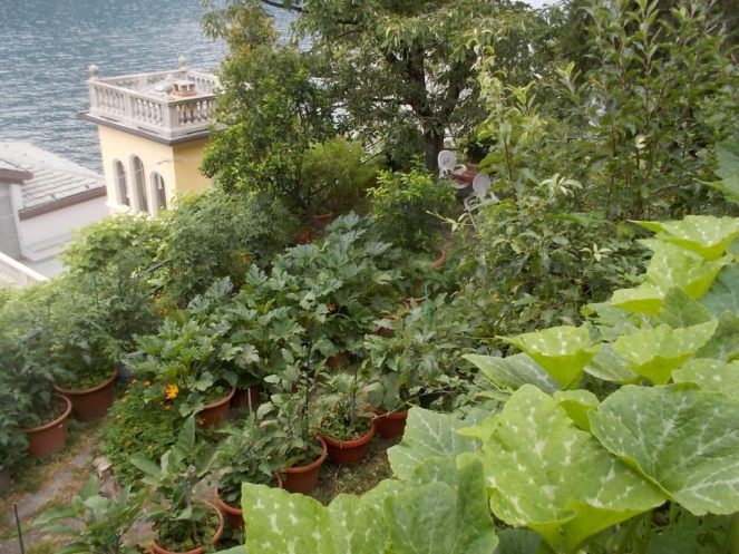 DSCN2403 (FILEminimizer)