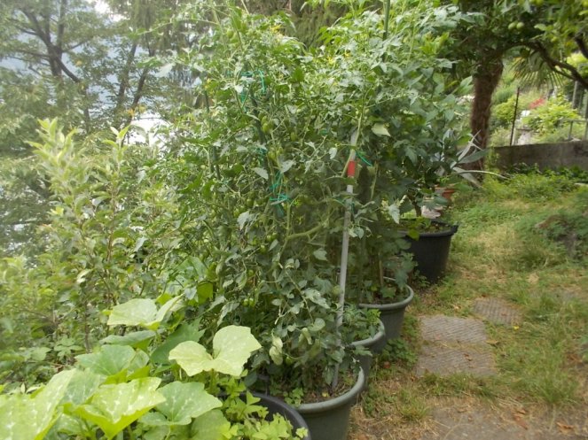 DSCN2406 (FILEminimizer)