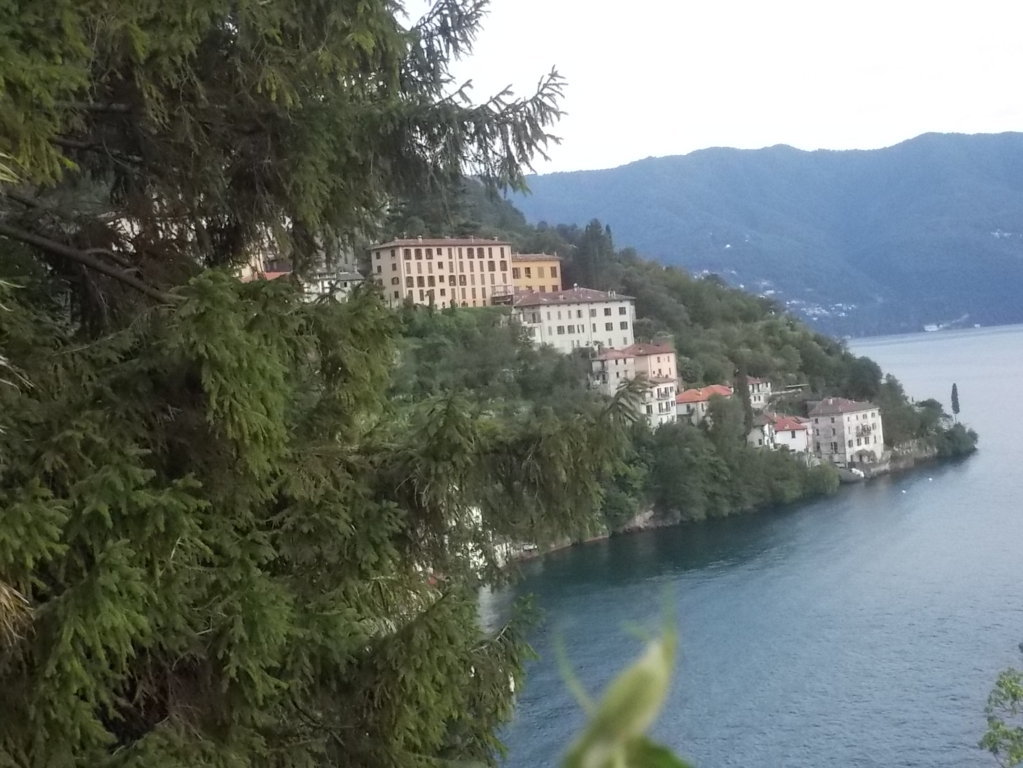 DSCN2485 (FILEminimizer)