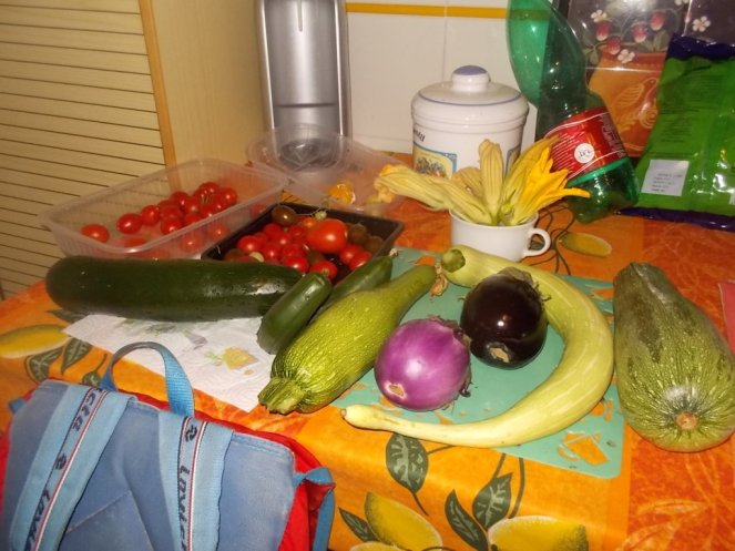 DSCN2486 (FILEminimizer)