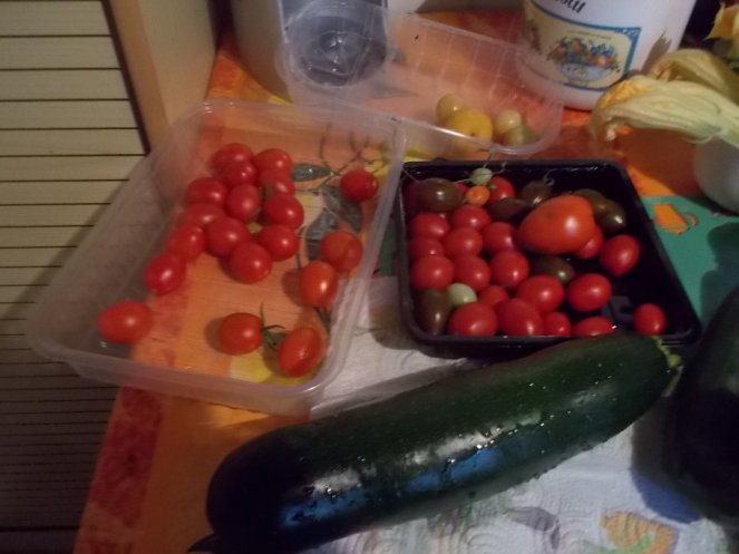 DSCN2487 (FILEminimizer)