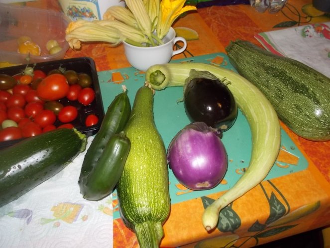 DSCN2488 (FILEminimizer)