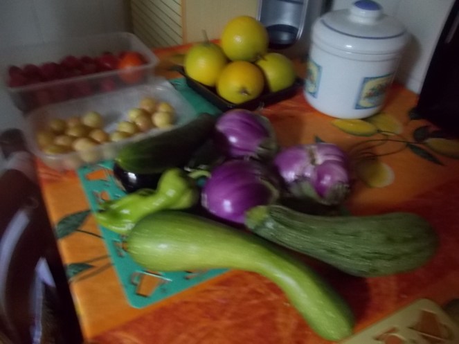 DSCN2490 (FILEminimizer)