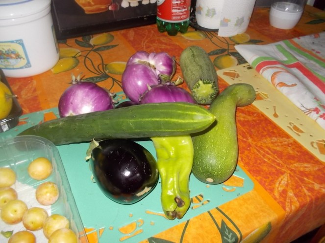 DSCN2493 (FILEminimizer)