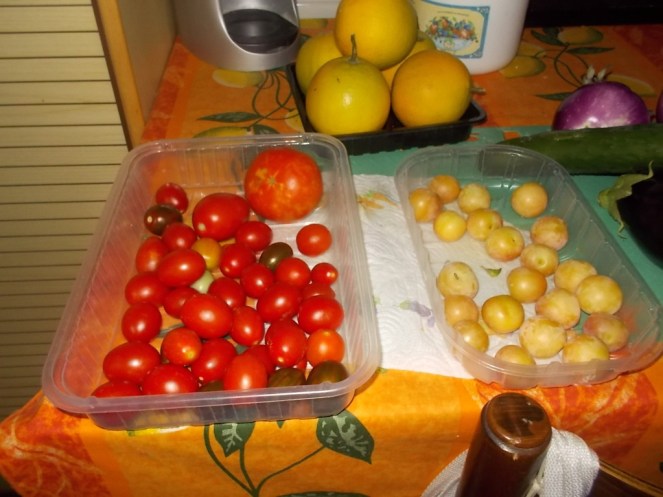 DSCN2494 (FILEminimizer)