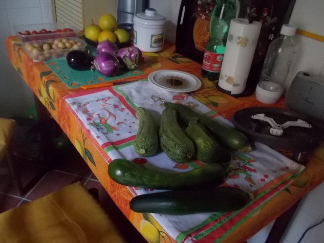 DSCN2495 (FILEminimizer)