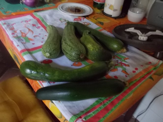 DSCN2496 (FILEminimizer)