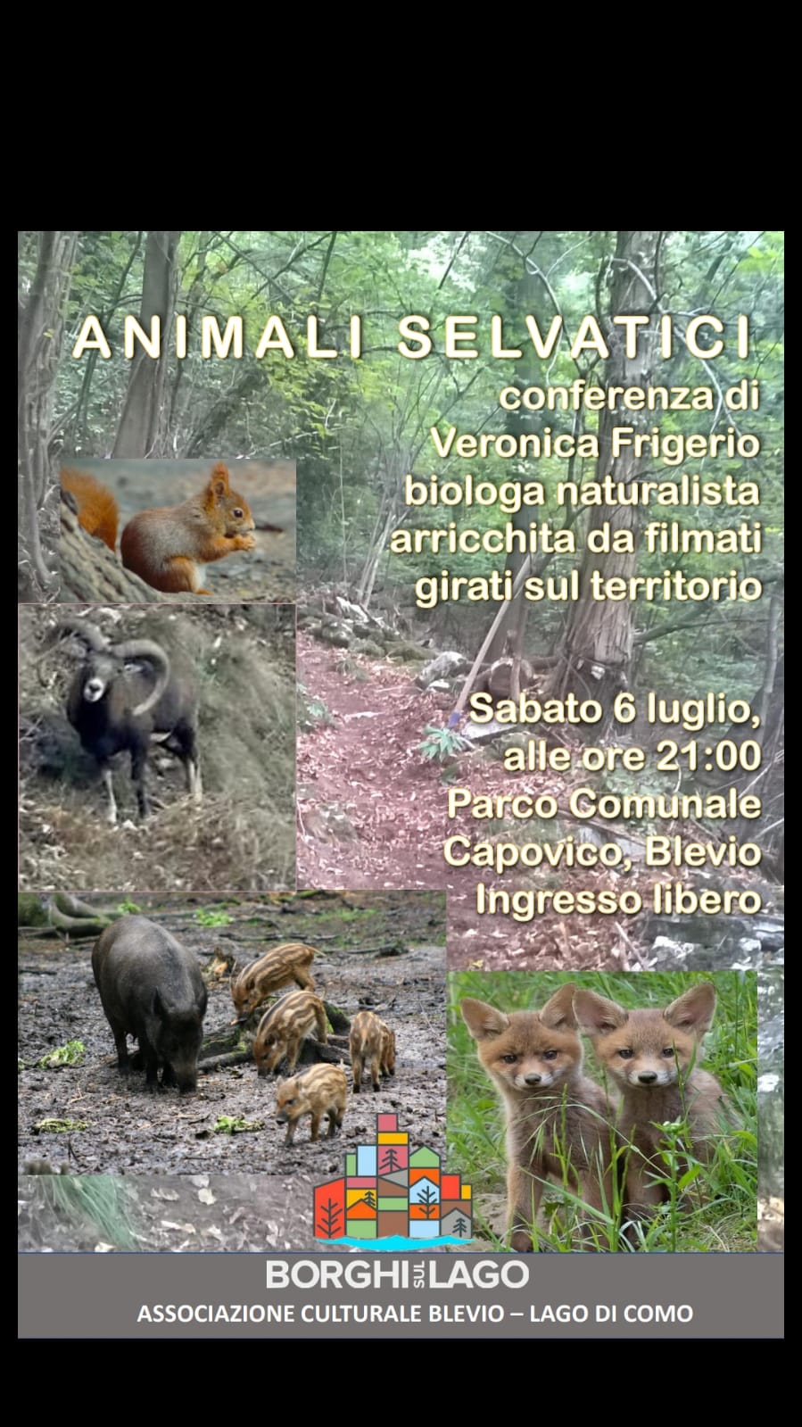 evento 6 luglio 2019