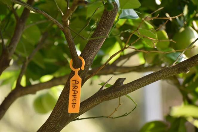 68816566_2657331724522616_125720818104664064_n