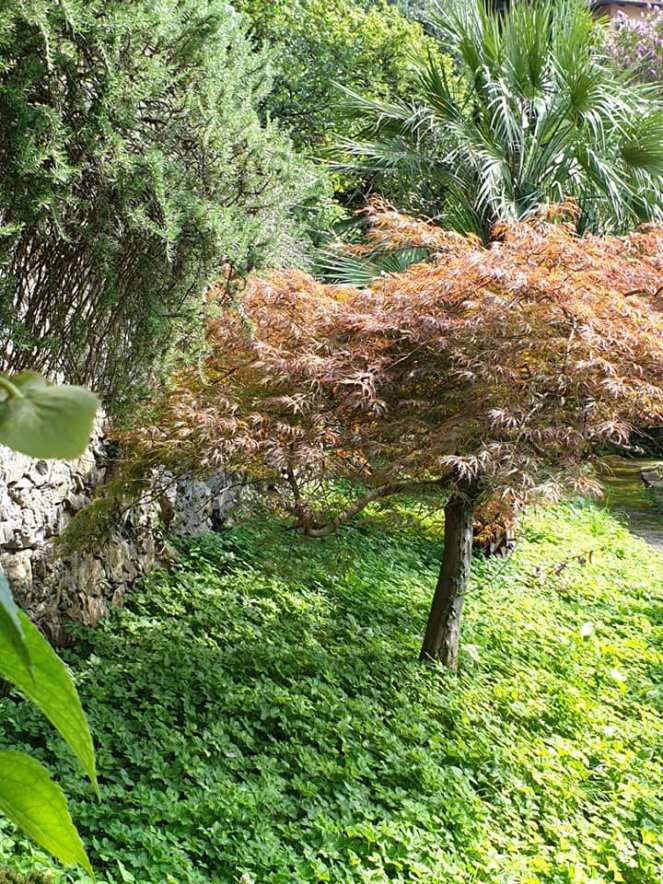 68996213_1091955847859717_4857570946208235520_n