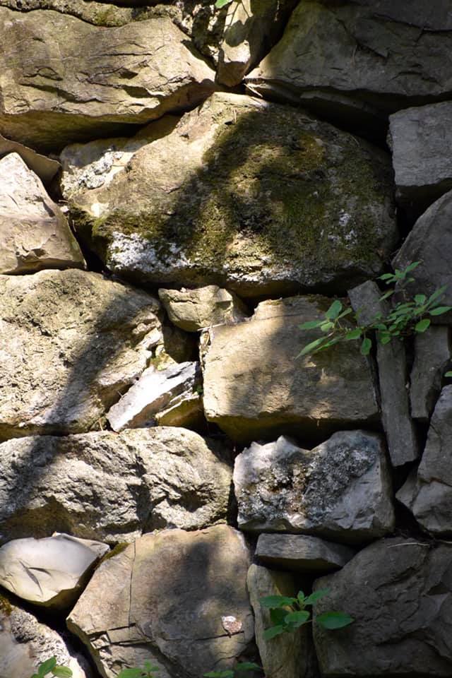 69072730_2657331717855950_9210802836537868288_n