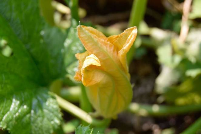 69201771_2657331631189292_5690533772563316736_n