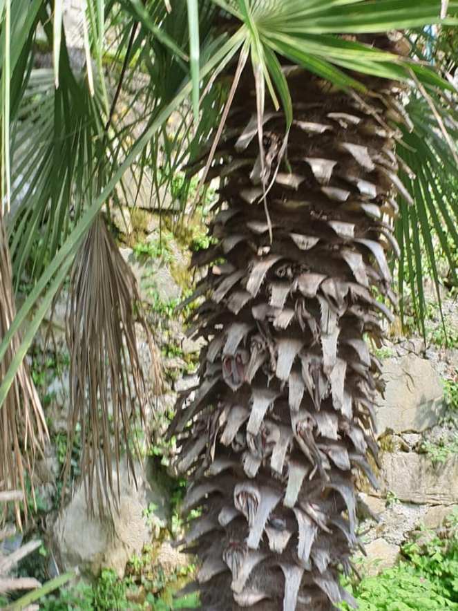 69272217_1091955927859709_6185118322057543680_n