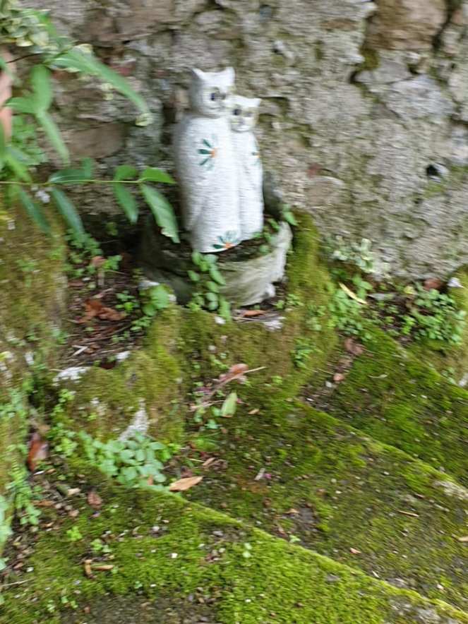 69338990_1091955651193070_7689056590254571520_n