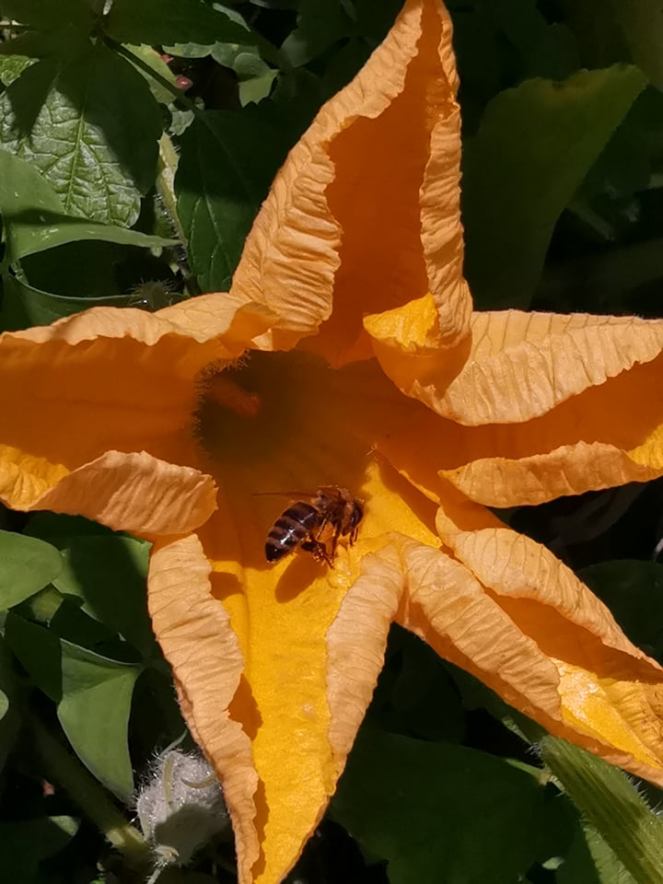 69392937_975416606142666_856809129027567616_n