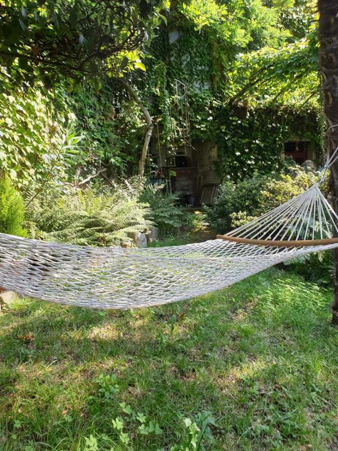 69520108_1091955971193038_7177745410885156864_n