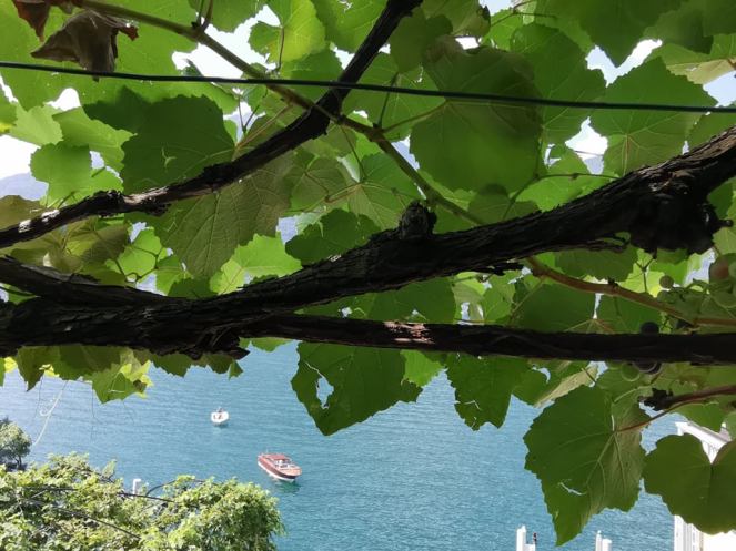 69628135_1321952807973490_2613535827803766784_n