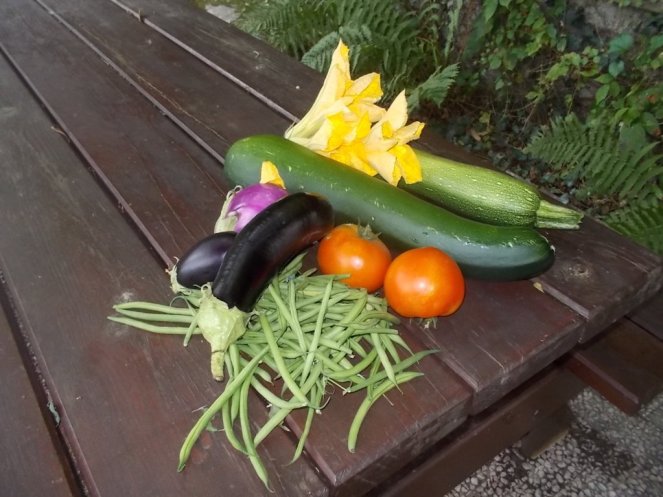 DSCN2530 (FILEminimizer)