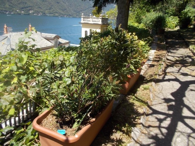 DSCN2533 (FILEminimizer)