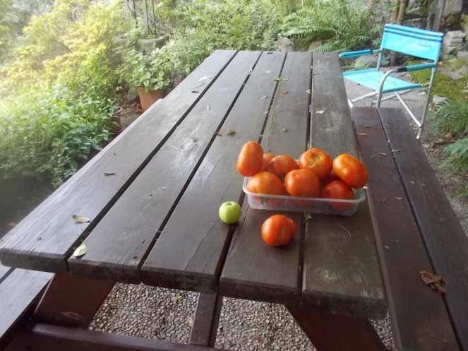 DSCN2536 (FILEminimizer)