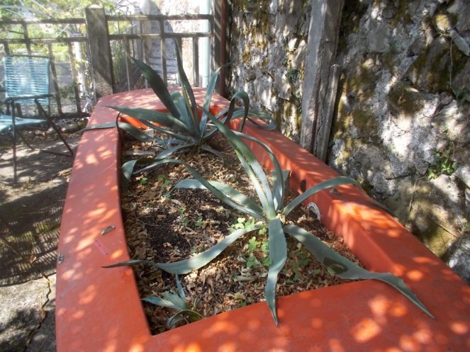 DSCN2548 (FILEminimizer)