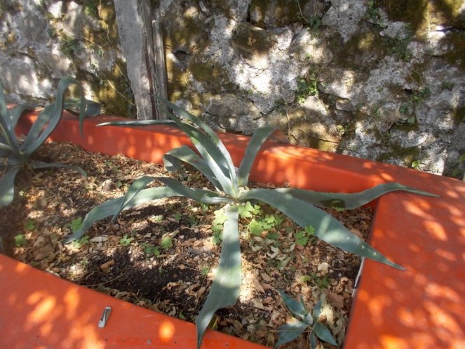 DSCN2549 (FILEminimizer)