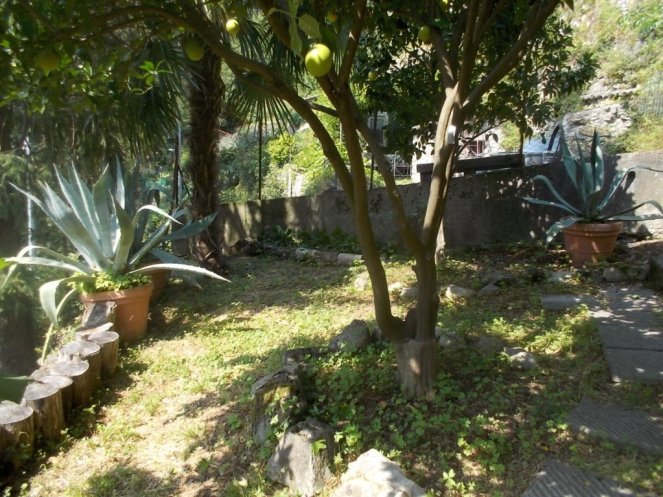 DSCN2551 (FILEminimizer)